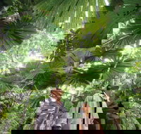 Wet Tropics Rainforest - Darwin Holiday