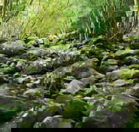 Wodi Wodi Walking Track - Darwin Holiday