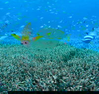 Wreck Bay Dive Site - Darwin Holiday