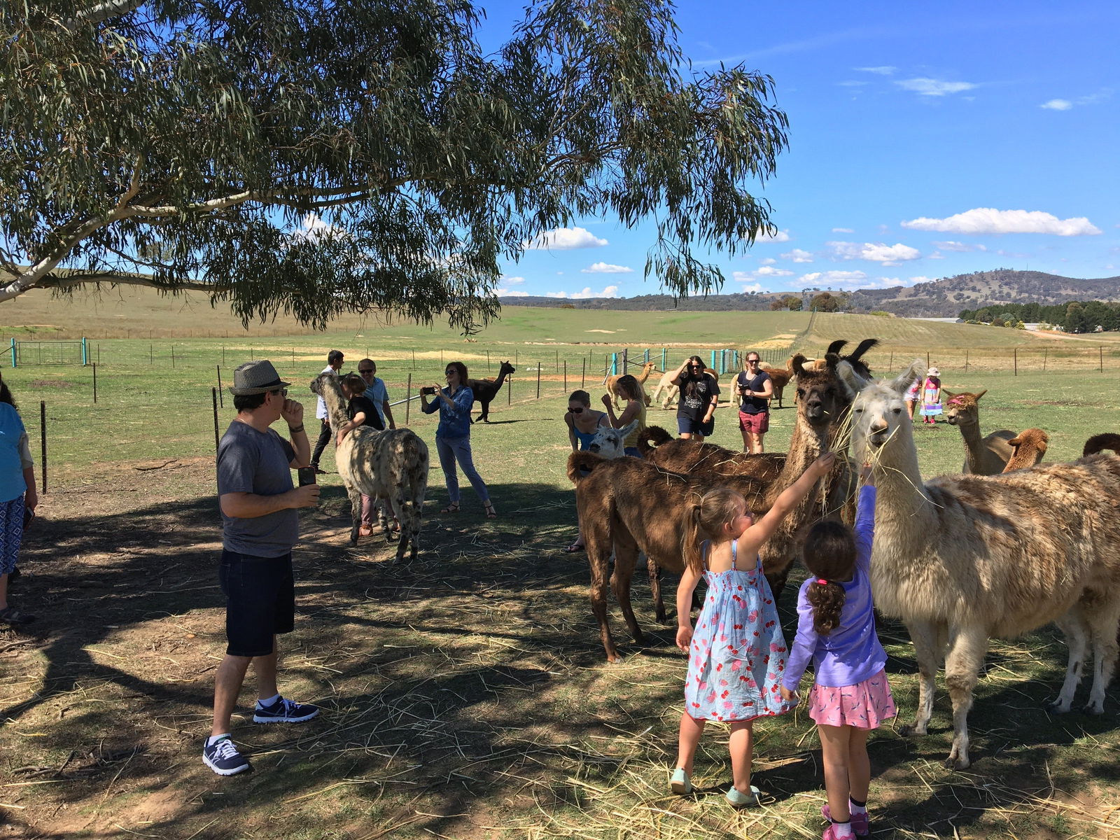 Royalla NSW Darwin Holiday