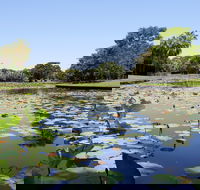 Anderson Park Botanic Gardens - Darwin Holiday