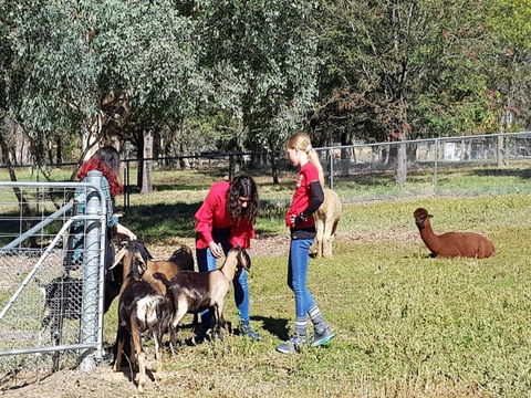 Animal Farm Visit - Darwin Holiday 1