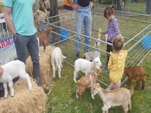 Animal Farm Visit - Darwin Holiday 2