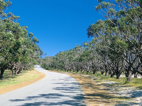 Avenue Of Honour - Darwin Holiday 1