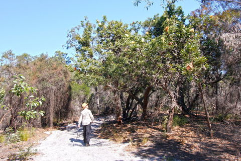 Banksia Track, Burrum Coast National Park - Darwin Holiday 1