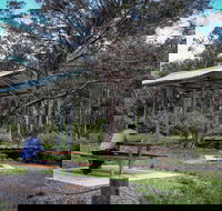 Barrington Tops State Forest - Darwin Holiday