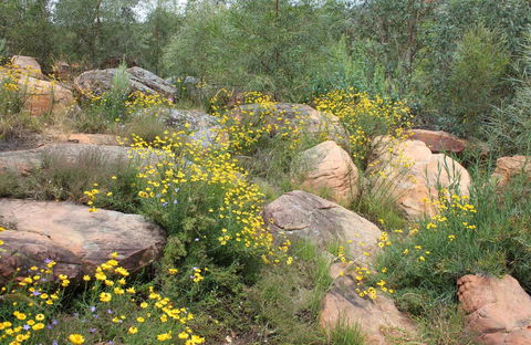 Ben Hall's Cave Walking Track - Darwin Holiday 0