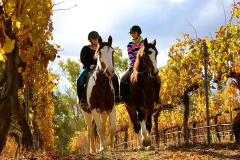 Billabong Ranch Adventure Park - Darwin Holiday 0