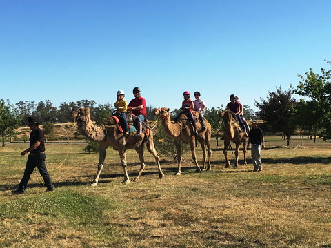 Billabong Ranch Adventure Park - Darwin Holiday 1