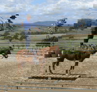 Boggy Creek Show - Darwin Holiday