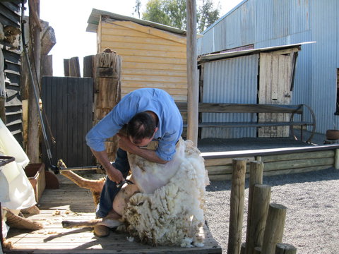 Boggy Creek Show - Darwin Holiday 2