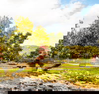 Bright - Darwin Holiday