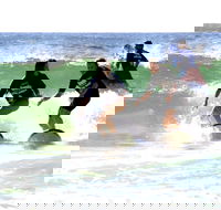 Broadbeach Surf School - Darwin Holiday