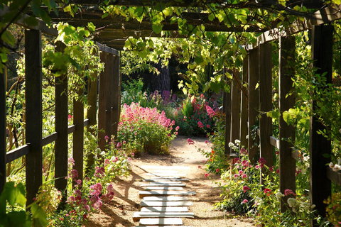 Buda Historic Home & Garden - Darwin Holiday 2