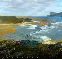 Bullimah Spur Track - Darwin Holiday