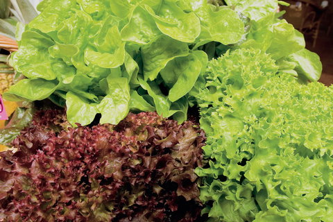 Bundaberg To Childers And Woodgate Day Trip - Darwin Holiday 1