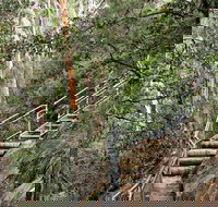 Caleys Lookout Track - Darwin Holiday