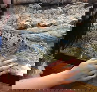 Canberra Reptile Zoo - Darwin Holiday
