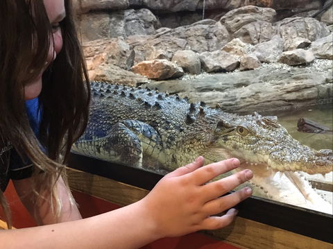 Canberra Reptile Zoo - Darwin Holiday 0