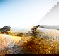 Canberra Centenary Trail - Darwin Holiday