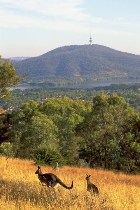 Canberra Centenary Trail - Darwin Holiday 1
