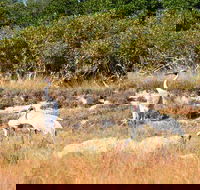 Cape Keraudren Nature Reserve - Darwin Holiday