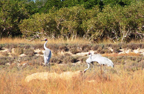 Cape Keraudren Nature Reserve - Darwin Holiday 0