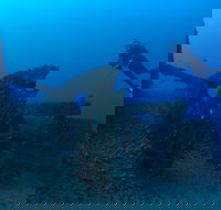 Cementco Dive Site - Darwin Holiday