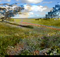 Coorow Wildflower Drive - Darwin Holiday