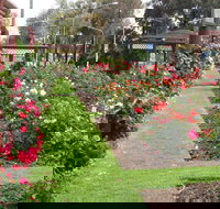 Cowra Rose Garden
