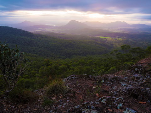 Cunninghams Gap And Spicers Gap, Main Range National Park - Darwin Holiday 0