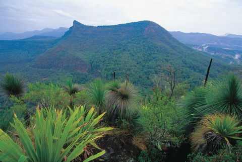 Cunninghams Gap And Spicers Gap, Main Range National Park - Darwin Holiday 1