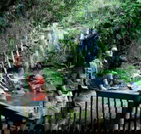 Curtis Falls track Tamborine National Park - Darwin Holiday