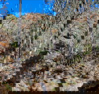 Eualdrie Walking Track - Darwin Holiday