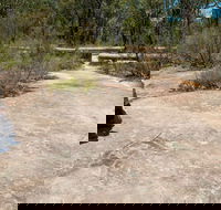 Finchley Cultural Walk - Darwin Holiday