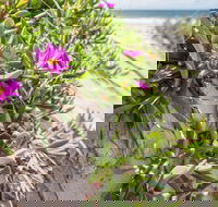 Fort Bribie - Darwin Holiday