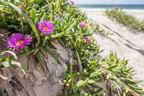 Fort Bribie - Darwin Holiday 0