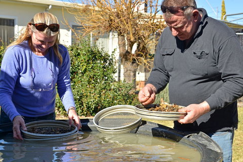 Fossicker Caravan Park Fossicking Park - Darwin Holiday 2