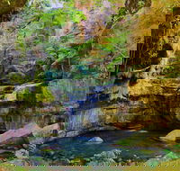 Glimpse of the Outback 5 Day Tour - Roma and Surrounds - Darwin Holiday