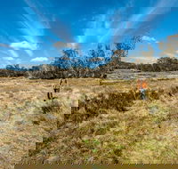 Goldseekers track - Darwin Holiday