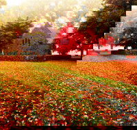 Gostwyck Chapel - Darwin Holiday