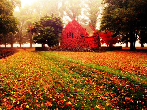 Gostwyck Chapel - Darwin Holiday 0