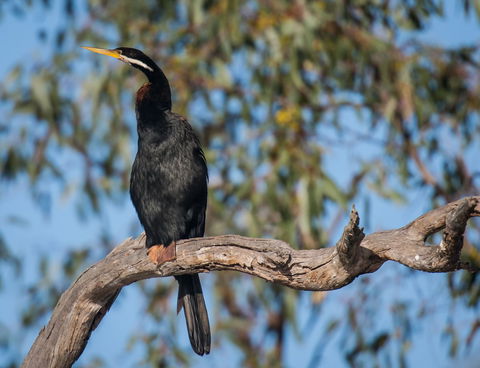 Greenough River Nature Trail - Darwin Holiday 0