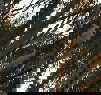 Hazelbrook - Darwin Holiday