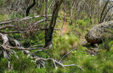 Hopetoun Falls Walking Track - Darwin Holiday 0