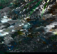 Howard Springs Nature Park - Darwin Holiday