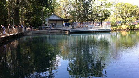 Howard Springs Nature Park - Darwin Holiday 1