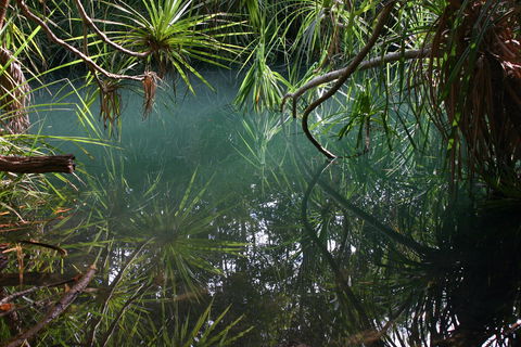 Howard Springs Nature Park - Darwin Holiday 2