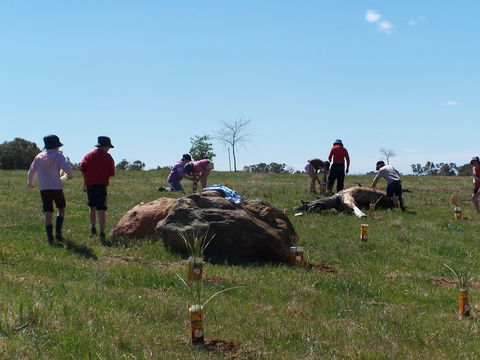 Jim Salmon  Wetland Education Site - Darwin Holiday 0