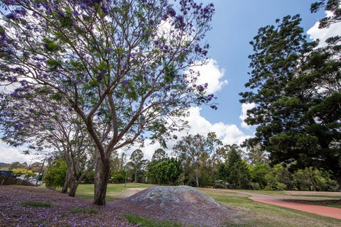 John Scott Park - Darwin Holiday 0